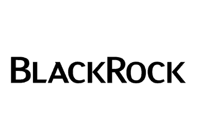 brillmax_accesspanel_trapdoor_blackrock_logo